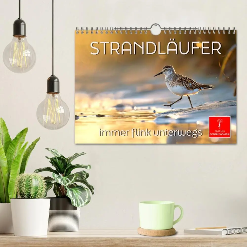 Bild: 9783383768354 | Strandläufer - immer flink unterwegs (Wandkalender 2025 DIN A4...