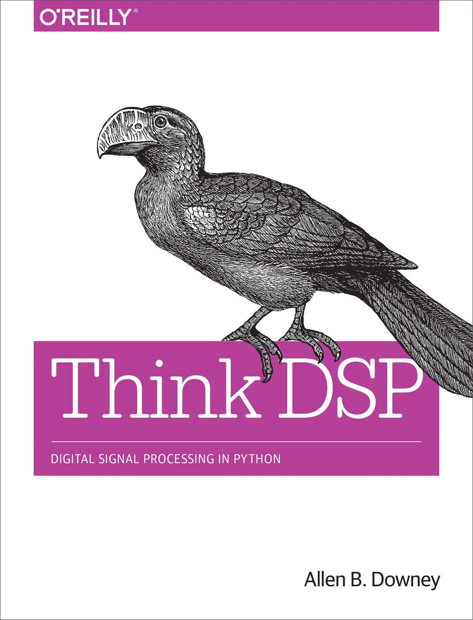 Cover: 9781491938454 | Think DSP | Allen B. Downey | Taschenbuch | Einband - flex.(Paperback)