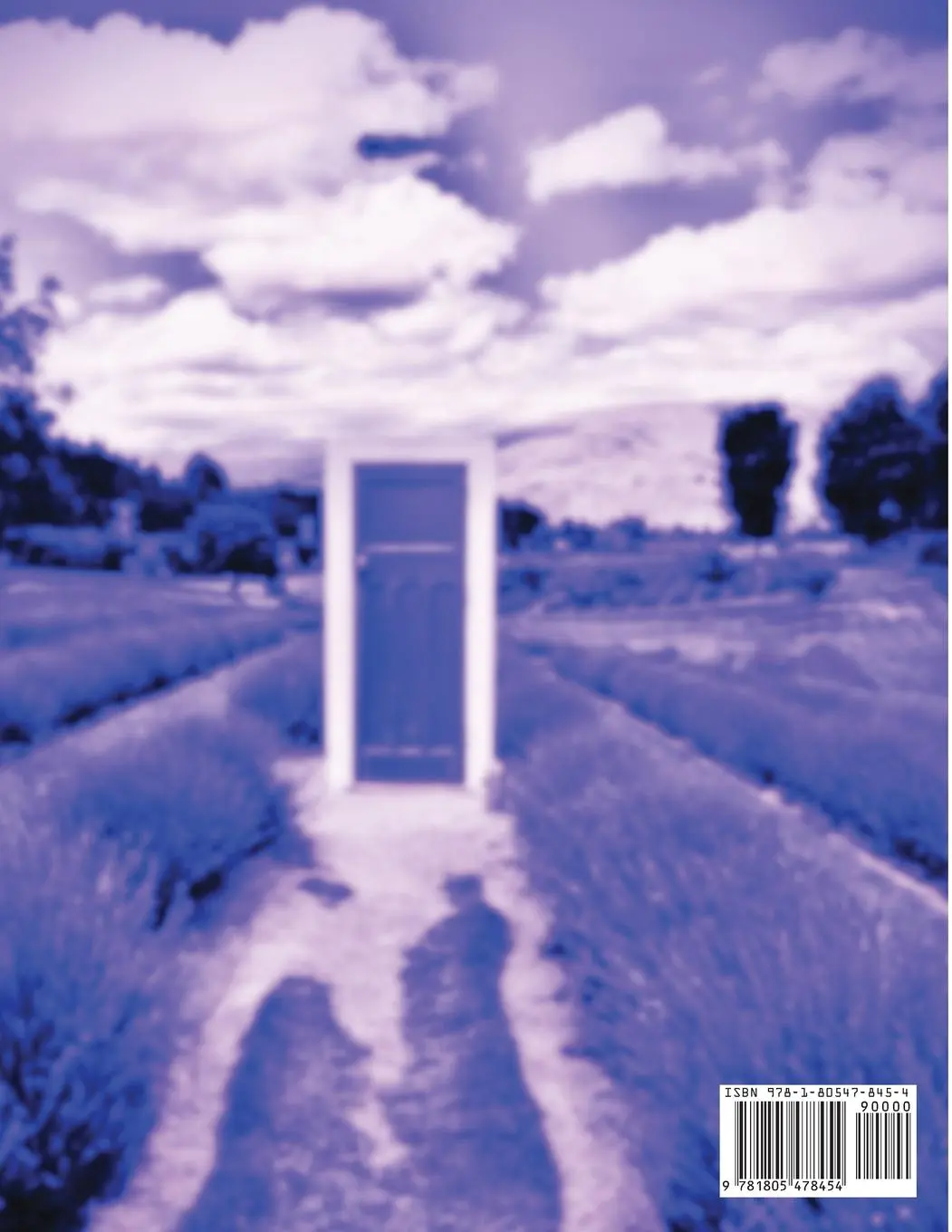 Rückseite: 9781805478454 | The Fourth dimension | Sacred Geometry, Alchemy and Mathematics | Buch