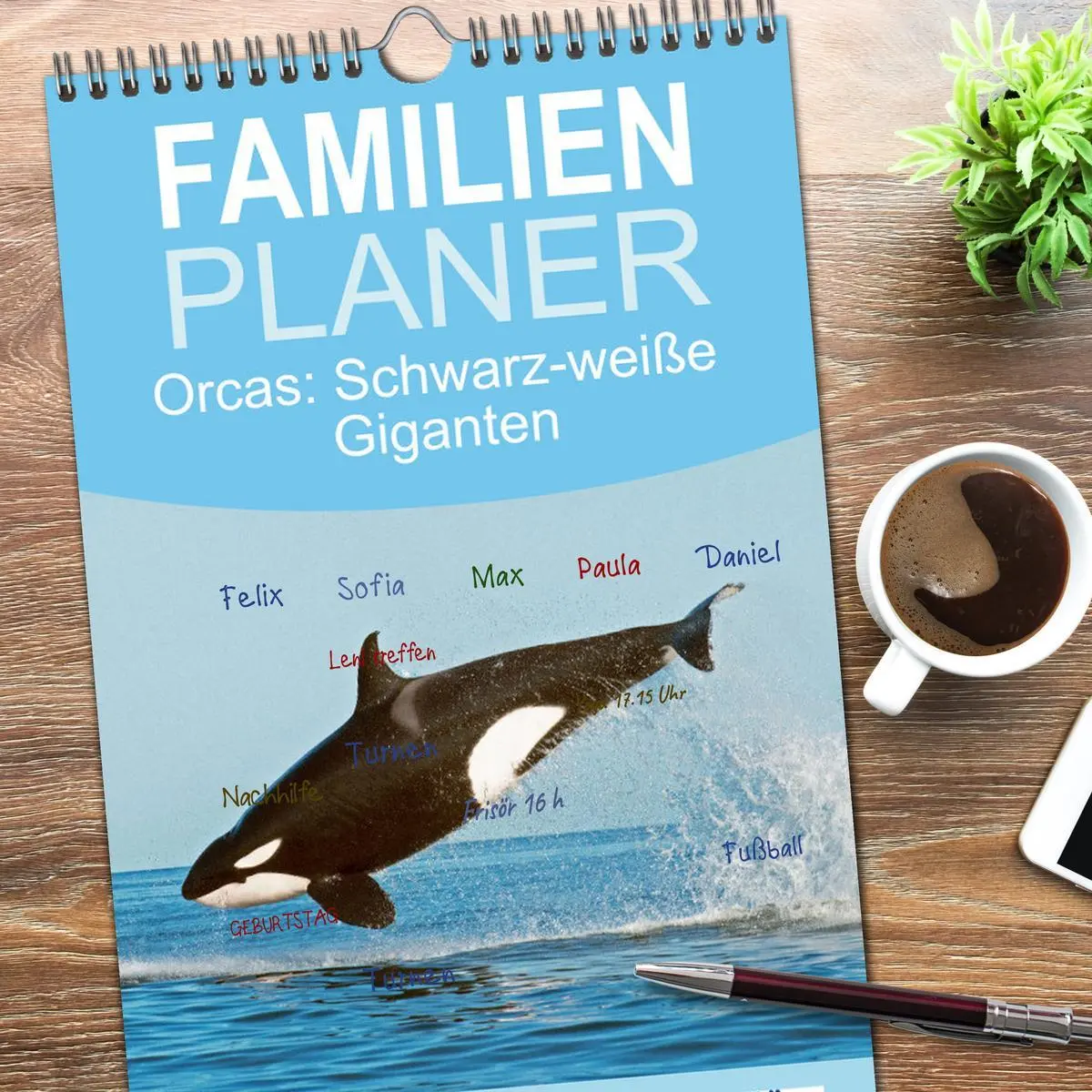 Bild: 9783516498554 | Familienplaner 2026 - Orcas: Schwarz-weiße Giganten mit 5 Spalten...