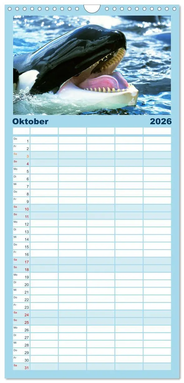 Bild: 9783516498554 | Familienplaner 2026 - Orcas: Schwarz-weiße Giganten mit 5 Spalten...