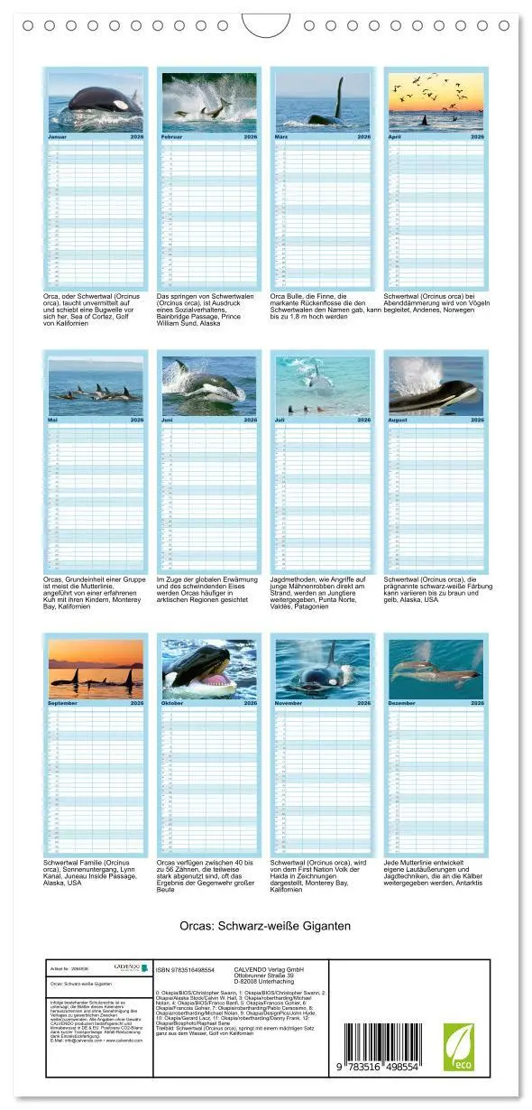 Bild: 9783516498554 | Familienplaner 2026 - Orcas: Schwarz-weiße Giganten mit 5 Spalten...