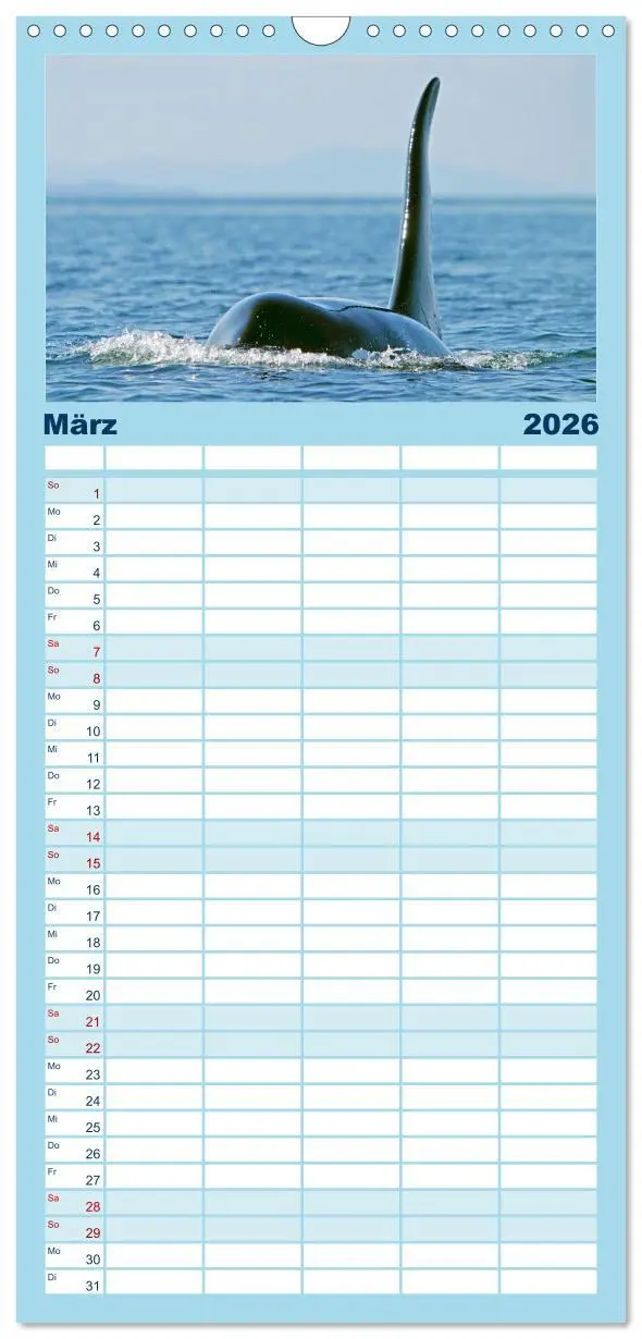 Bild: 9783516498554 | Familienplaner 2026 - Orcas: Schwarz-weiße Giganten mit 5 Spalten...