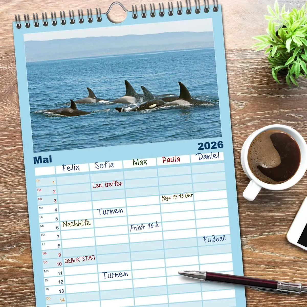 Bild: 9783516498554 | Familienplaner 2026 - Orcas: Schwarz-weiße Giganten mit 5 Spalten...