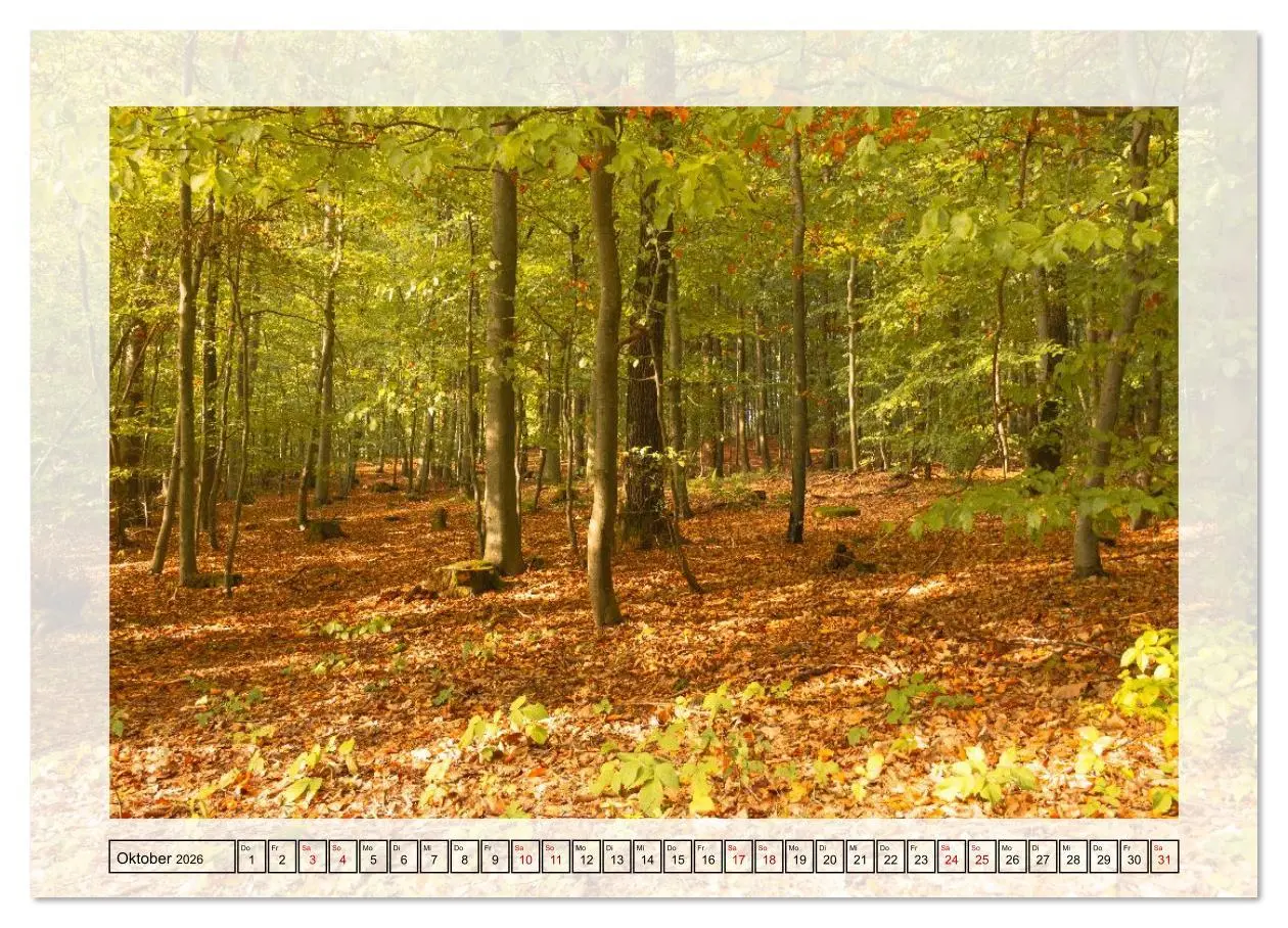 Bild: 9783516638554 | Jeden Monat in der Natur (Wandkalender 2026 DIN A3 quer), CALVENDO...