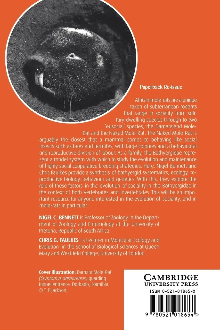 Rückseite: 9780521018654 | African Mole-Rats | Ecology and Eusociality | Nigel C. Bennett (u. a.)
