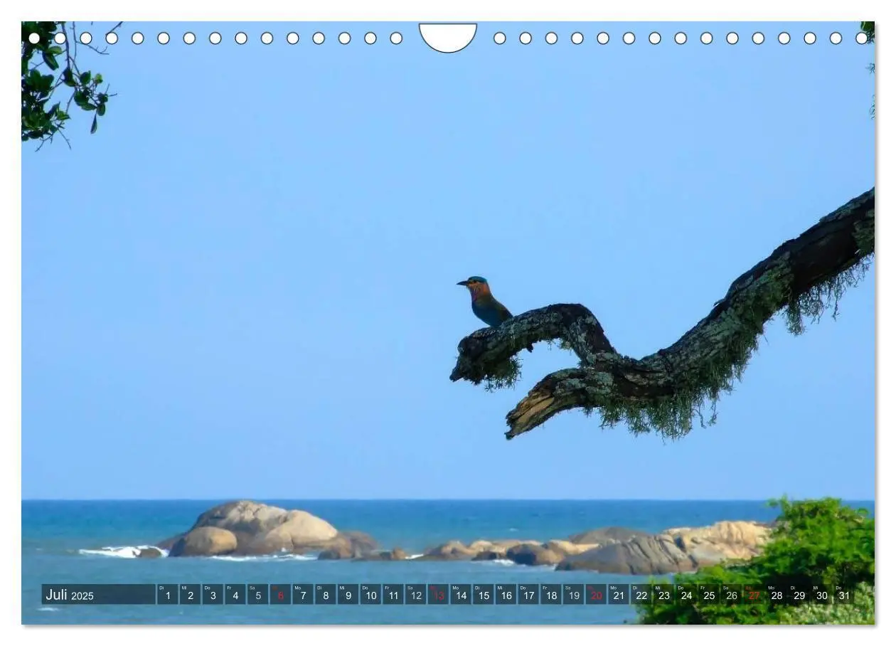 Bild: 9783435688654 | Sri Lanka - Eine Bilder-Reise (Wandkalender 2025 DIN A4 quer),...