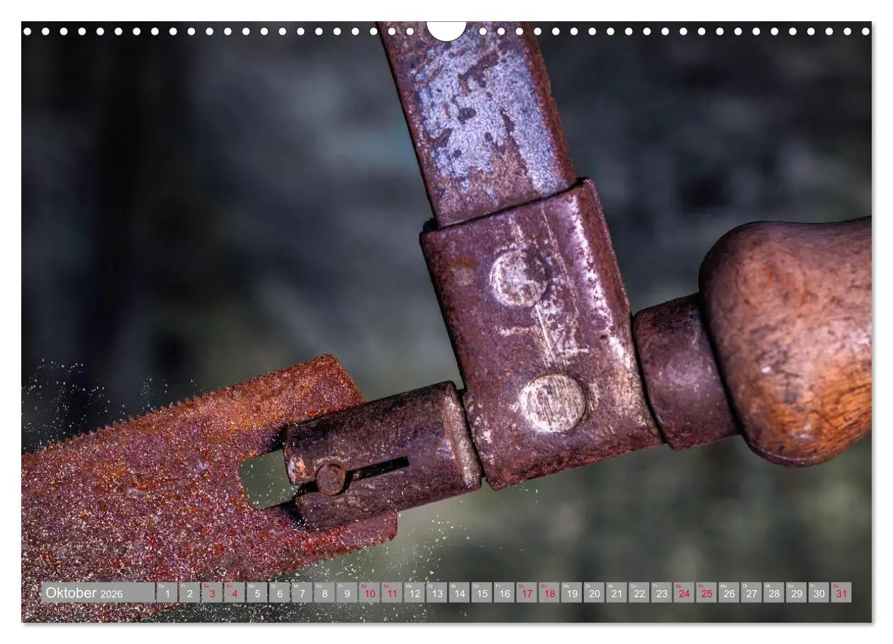 Bild: 9783457778654 | Lebensfreude Werkzeuge (Wandkalender 2026 DIN A3 quer), CALVENDO...