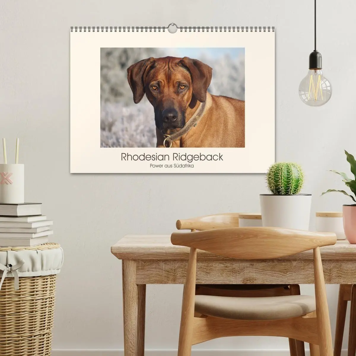 Bild: 9783457848654 | Rhodesian Ridgeback Power aus Südafrika (Wandkalender 2026 DIN A3...