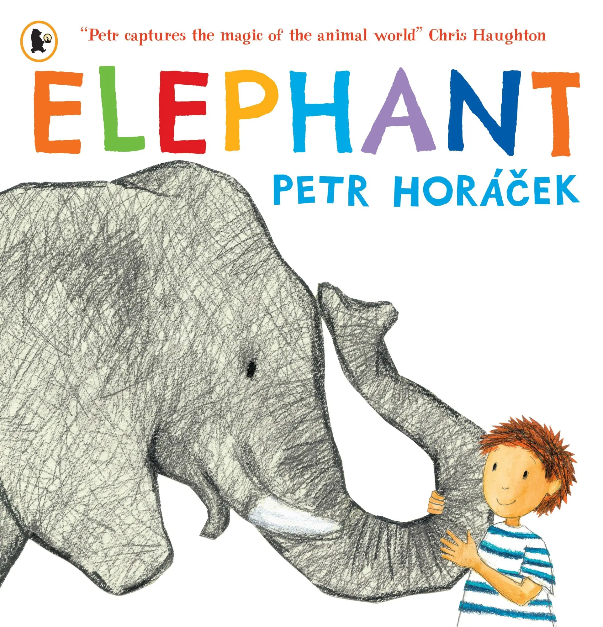 Cover: 9781529538854 | Elephant | Petr Horácek | Taschenbuch | Englisch | 2026