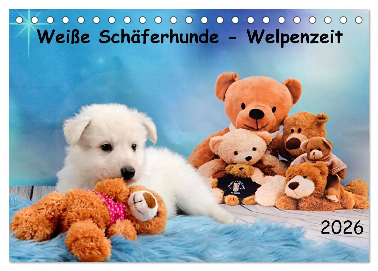 Cover: 9783457448854 | Weiße Schäferhunde - Welpenzeit (Tischkalender 2026 DIN A5 quer),...