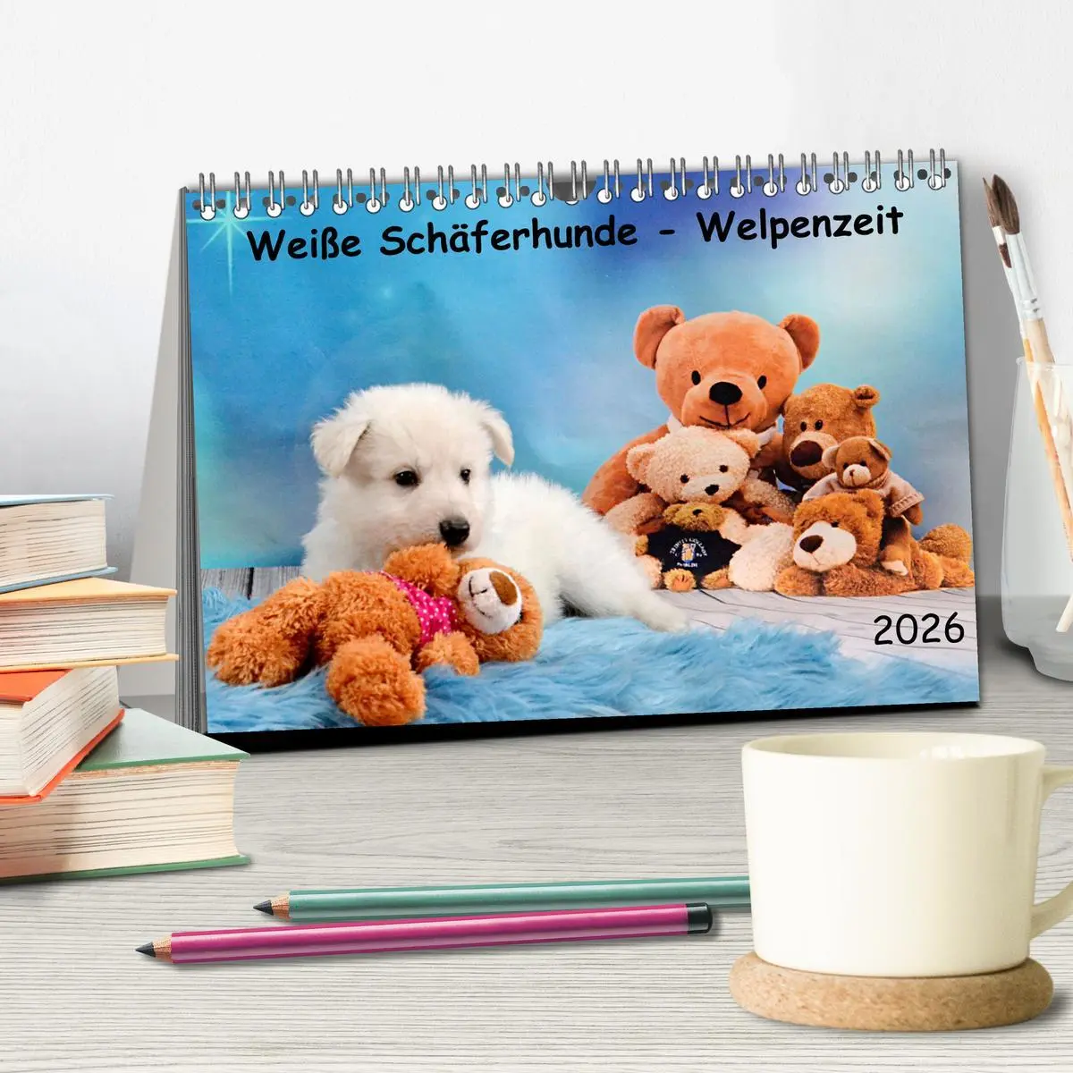 Bild: 9783457448854 | Weiße Schäferhunde - Welpenzeit (Tischkalender 2026 DIN A5 quer),...