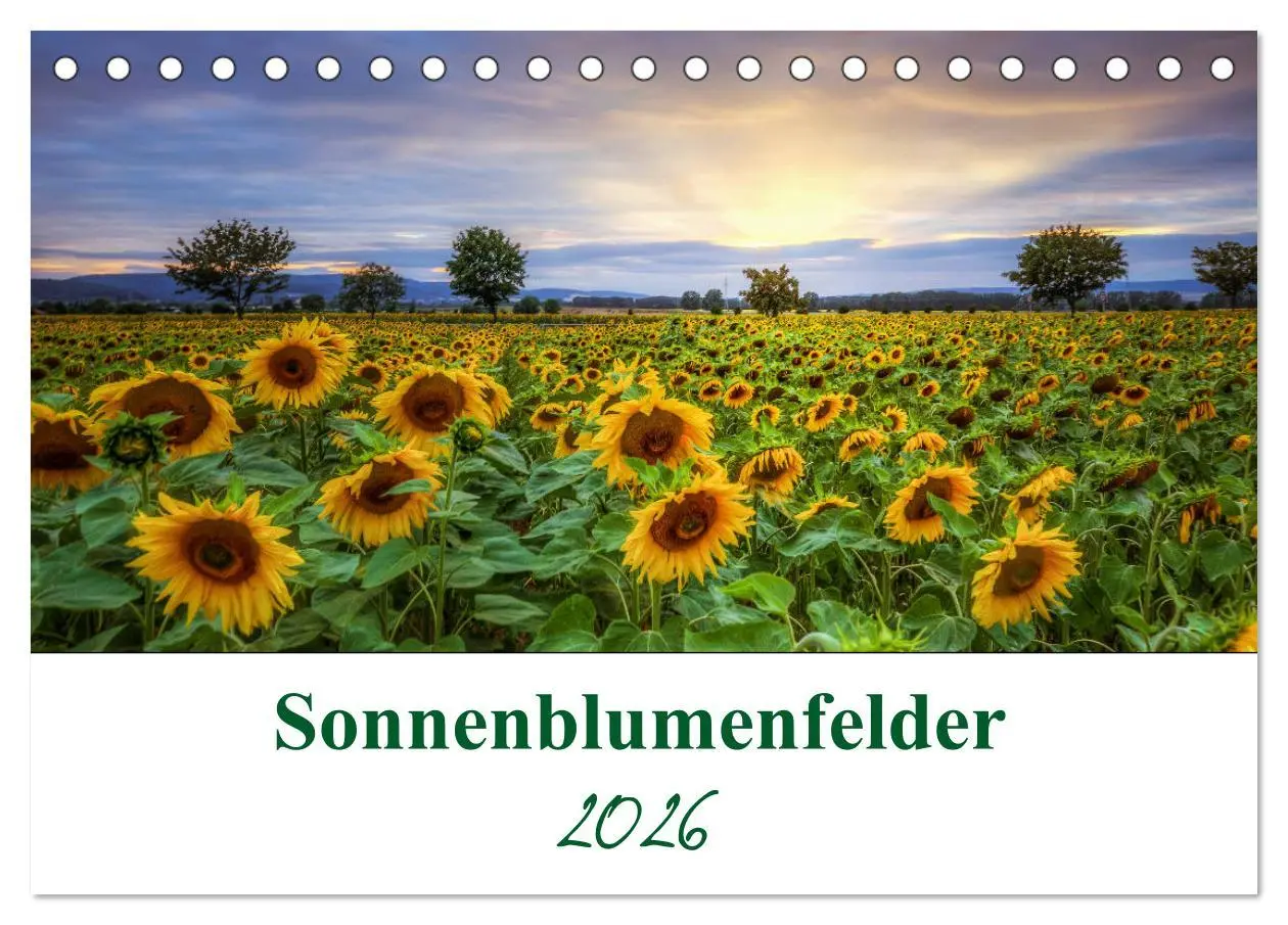 Cover: 9783457688854 | Sonnenblumenfelder (Tischkalender 2026 DIN A5 quer), CALVENDO...