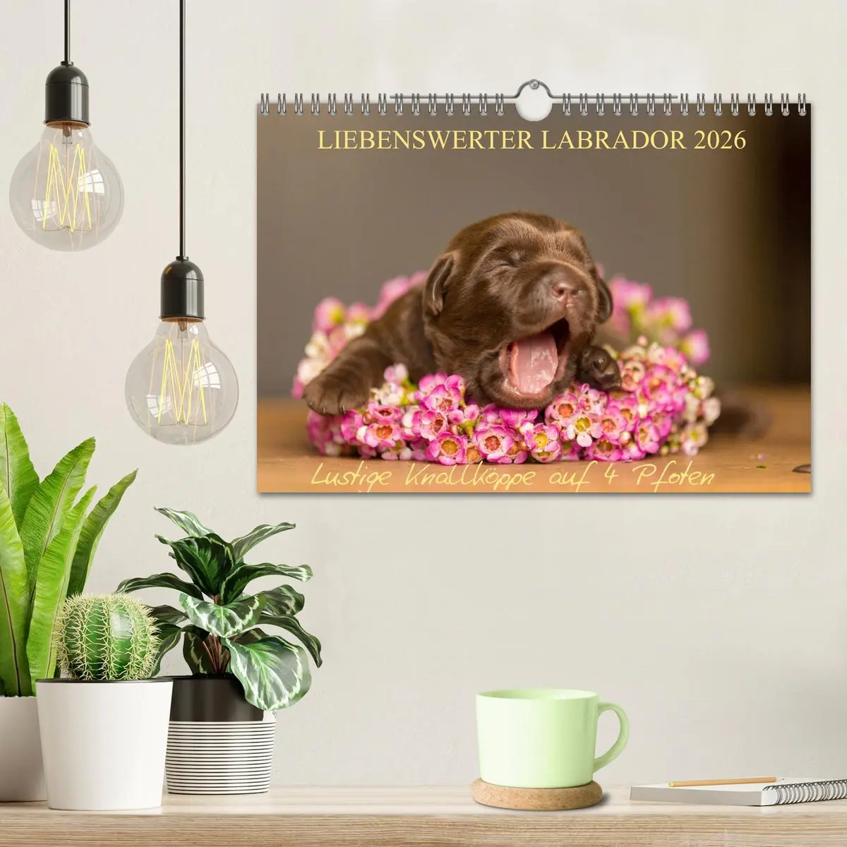Bild: 9783457998854 | Liebenswerter Labrador 2026 (Wandkalender 2026 DIN A4 quer),...