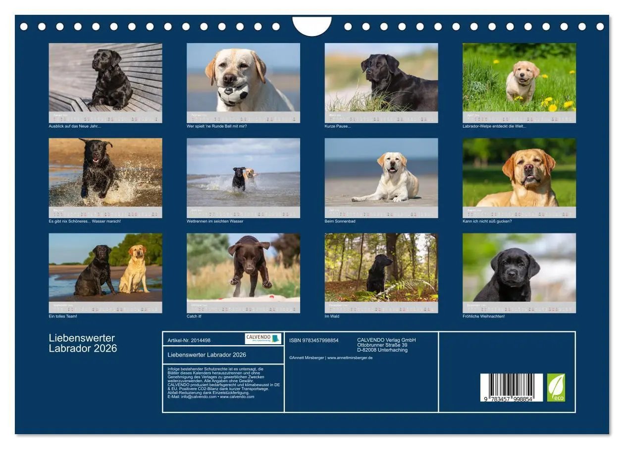 Bild: 9783457998854 | Liebenswerter Labrador 2026 (Wandkalender 2026 DIN A4 quer),...