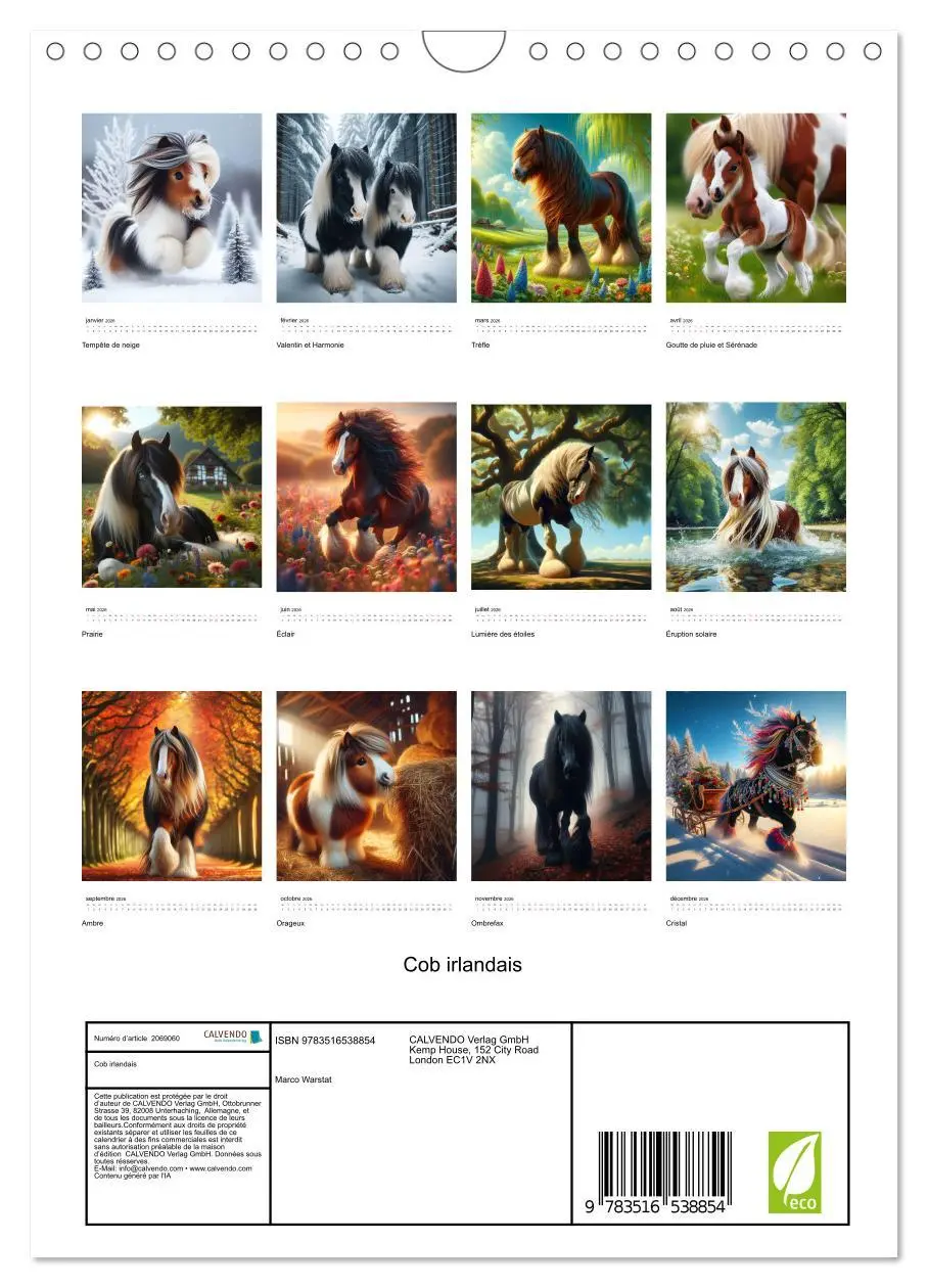 Bild: 9783516538854 | Cob irlandais (Calendrier mural 2026 DIN A4 horizontal), CALVENDO...