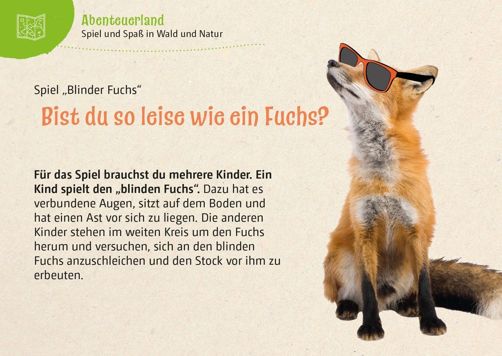 Bild: 9783766638854 | Abenteuer Wald | Natur-Entdecker-Karten | Peter Butenuth | Buch | 2026