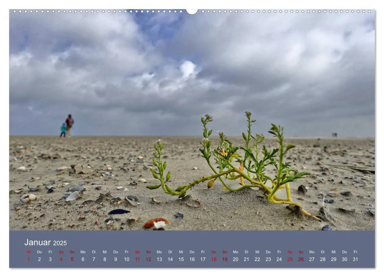 Bild: 9783435418954 | Norderney - Meine Trauminsel (Wandkalender 2025 DIN A2 quer),...