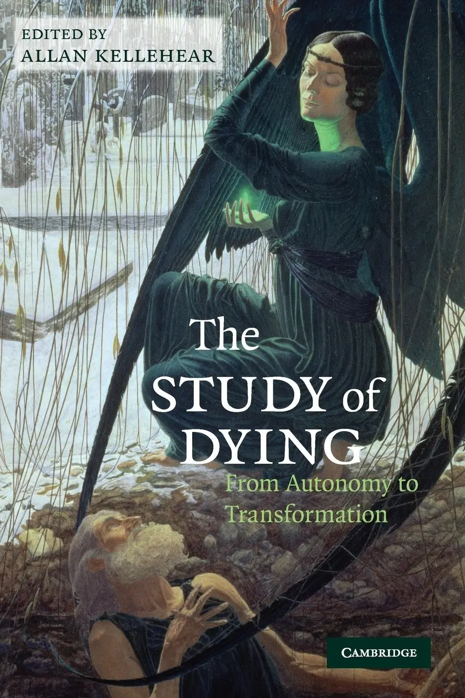 Cover: 9780521739054 | The Study of Dying | Allan Kellehear | Taschenbuch | Englisch | 2009
