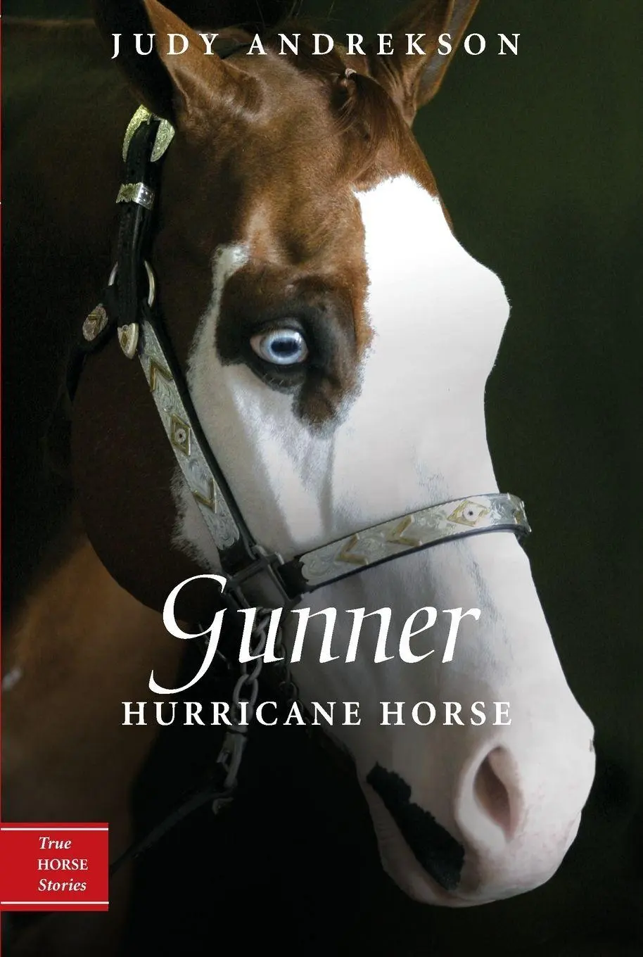 Cover: 9780887769054 | Gunner | Hurricane Horse | Judy Andrekson | Taschenbuch | Englisch