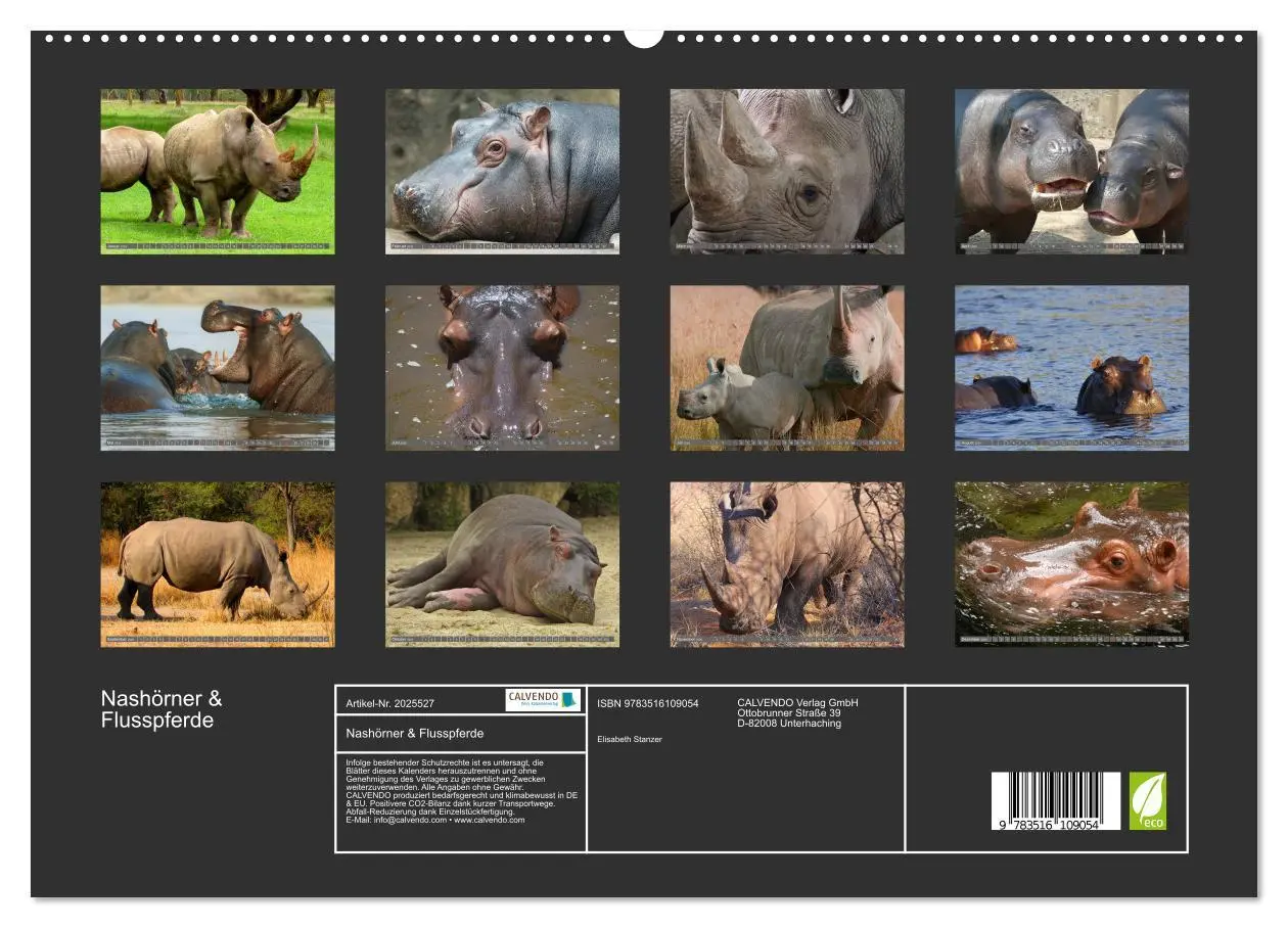 Bild: 9783516109054 | Nashörner &amp; Flusspferde (hochwertiger Premium Wandkalender 2026 DIN...