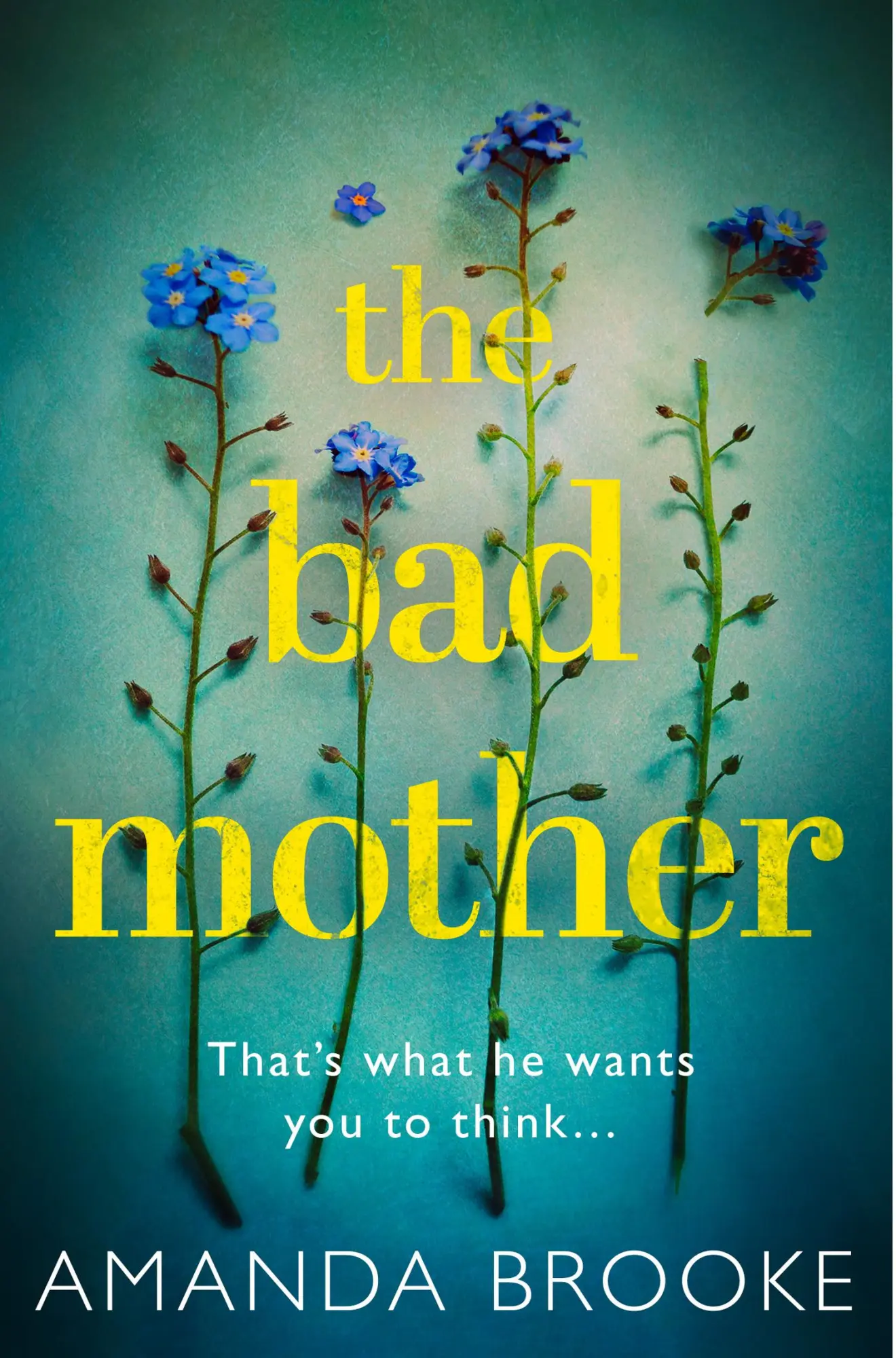 Cover: 9780008219154 | The Bad Mother | Amanda Brooke | Taschenbuch | Kartoniert / Broschiert