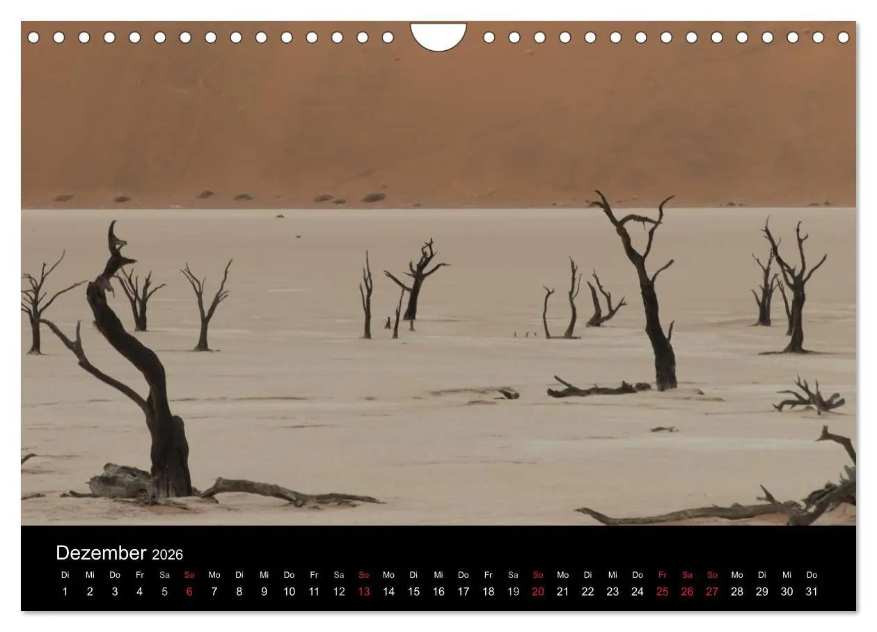 Bild: 9783516199154 | Wüstenzauber Namibia (Wandkalender 2026 DIN A4 quer), CALVENDO...