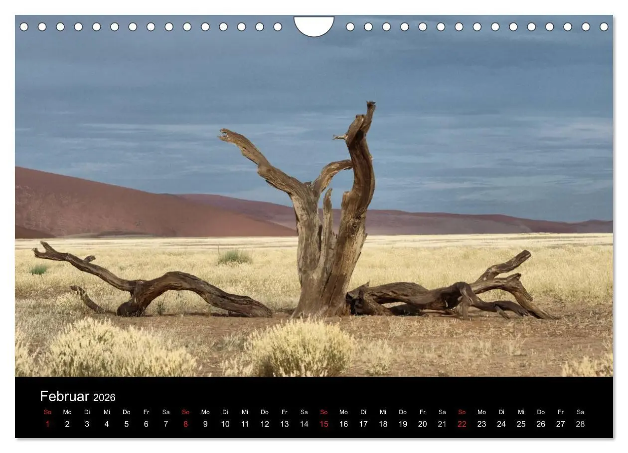 Bild: 9783516199154 | Wüstenzauber Namibia (Wandkalender 2026 DIN A4 quer), CALVENDO...