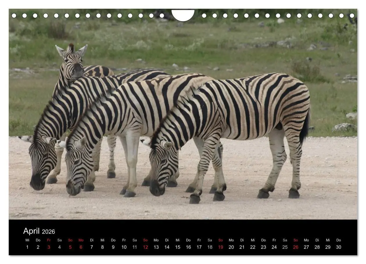 Bild: 9783516199154 | Wüstenzauber Namibia (Wandkalender 2026 DIN A4 quer), CALVENDO...