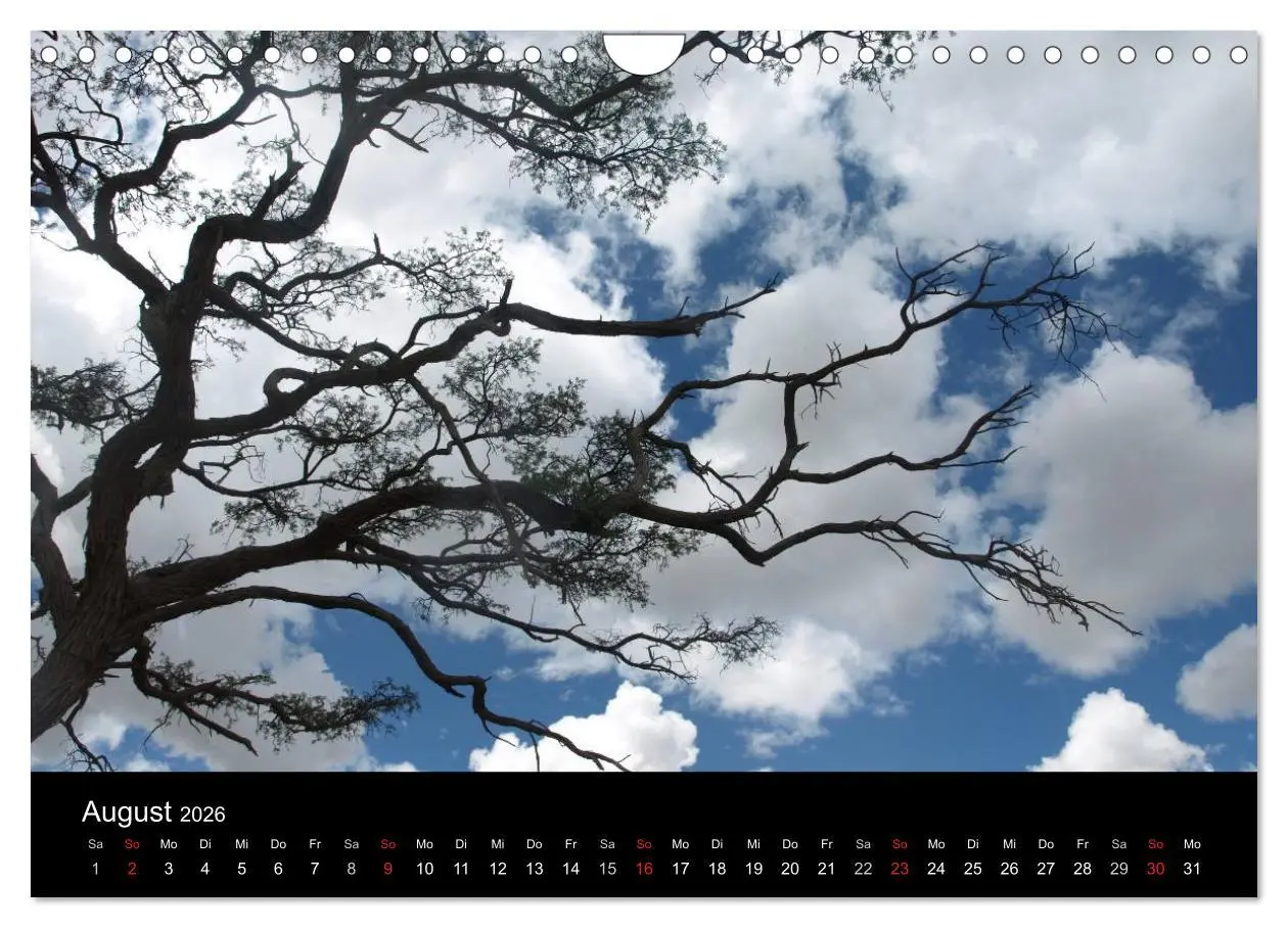 Bild: 9783516199154 | Wüstenzauber Namibia (Wandkalender 2026 DIN A4 quer), CALVENDO...