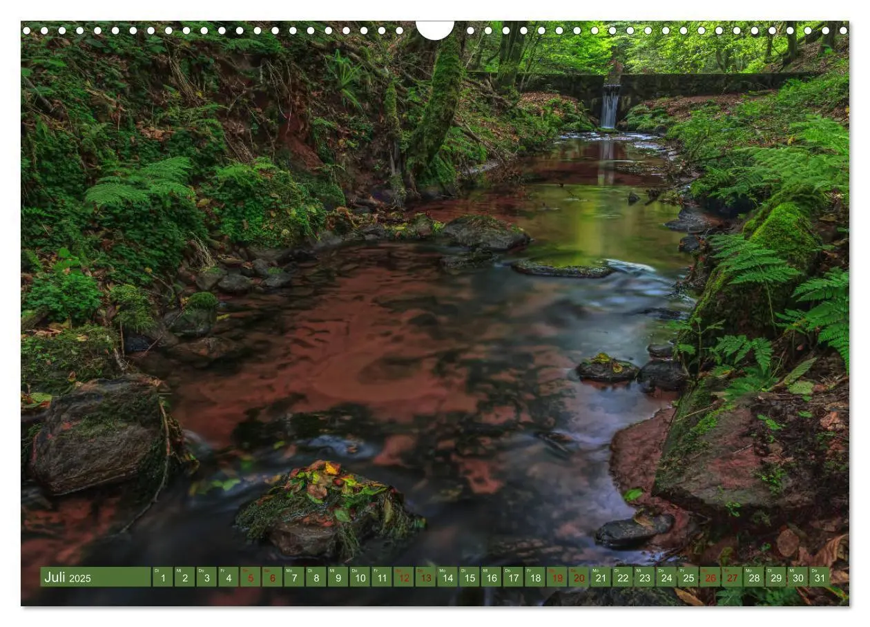 Bild: 9783435149254 | Augenschmaus Pfälzer Wald (Wandkalender 2025 DIN A3 quer), CALVENDO...