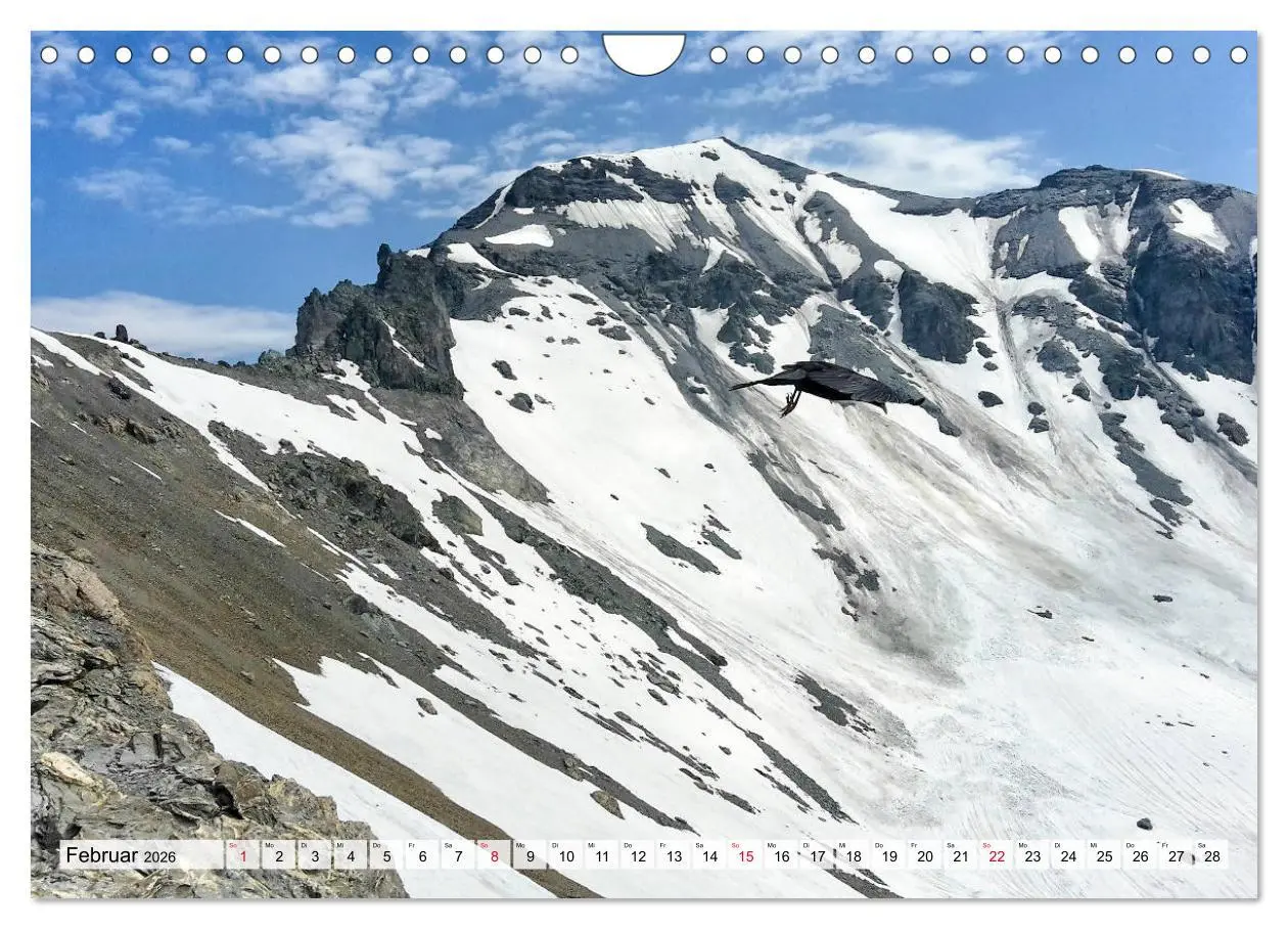 Bild: 9783457929254 | ALPEN BLICK (Wandkalender 2026 DIN A4 quer), CALVENDO Monatskalender