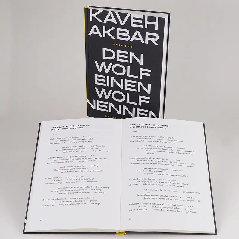 Bild: 9783446269354 | Den Wolf einen Wolf nennen | Kaveh Akbar | Buch | 192 S. | Deutsch