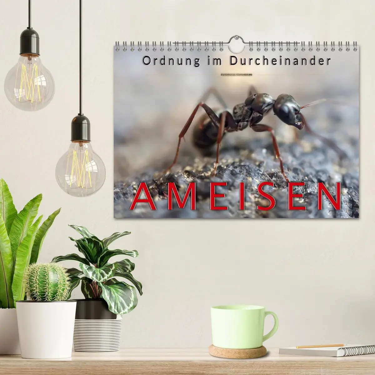 Bild: 9783457849354 | Ameisen - Ordnung im Durcheinander (Wandkalender 2026 DIN A4 quer),...