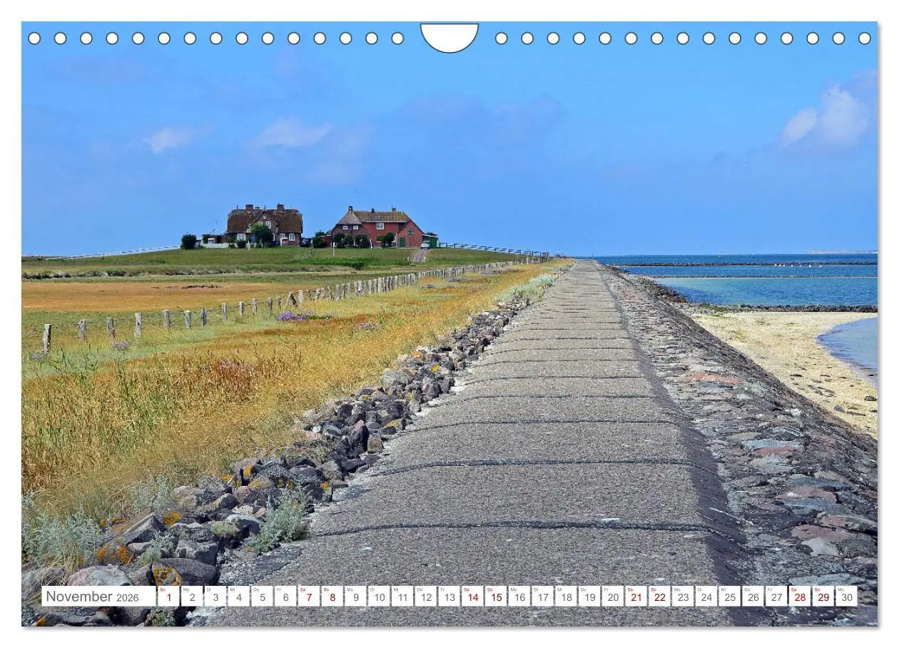 Bild: 9783457919354 | Sommertage auf Hallig Hooge (Wandkalender 2026 DIN A4 quer),...