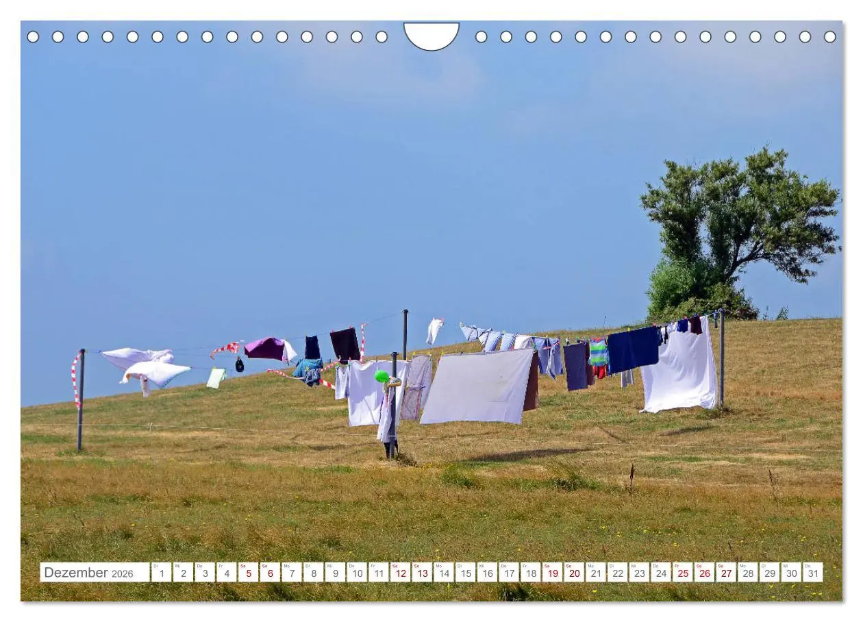 Bild: 9783457919354 | Sommertage auf Hallig Hooge (Wandkalender 2026 DIN A4 quer),...