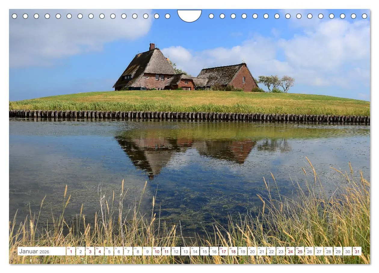 Bild: 9783457919354 | Sommertage auf Hallig Hooge (Wandkalender 2026 DIN A4 quer),...