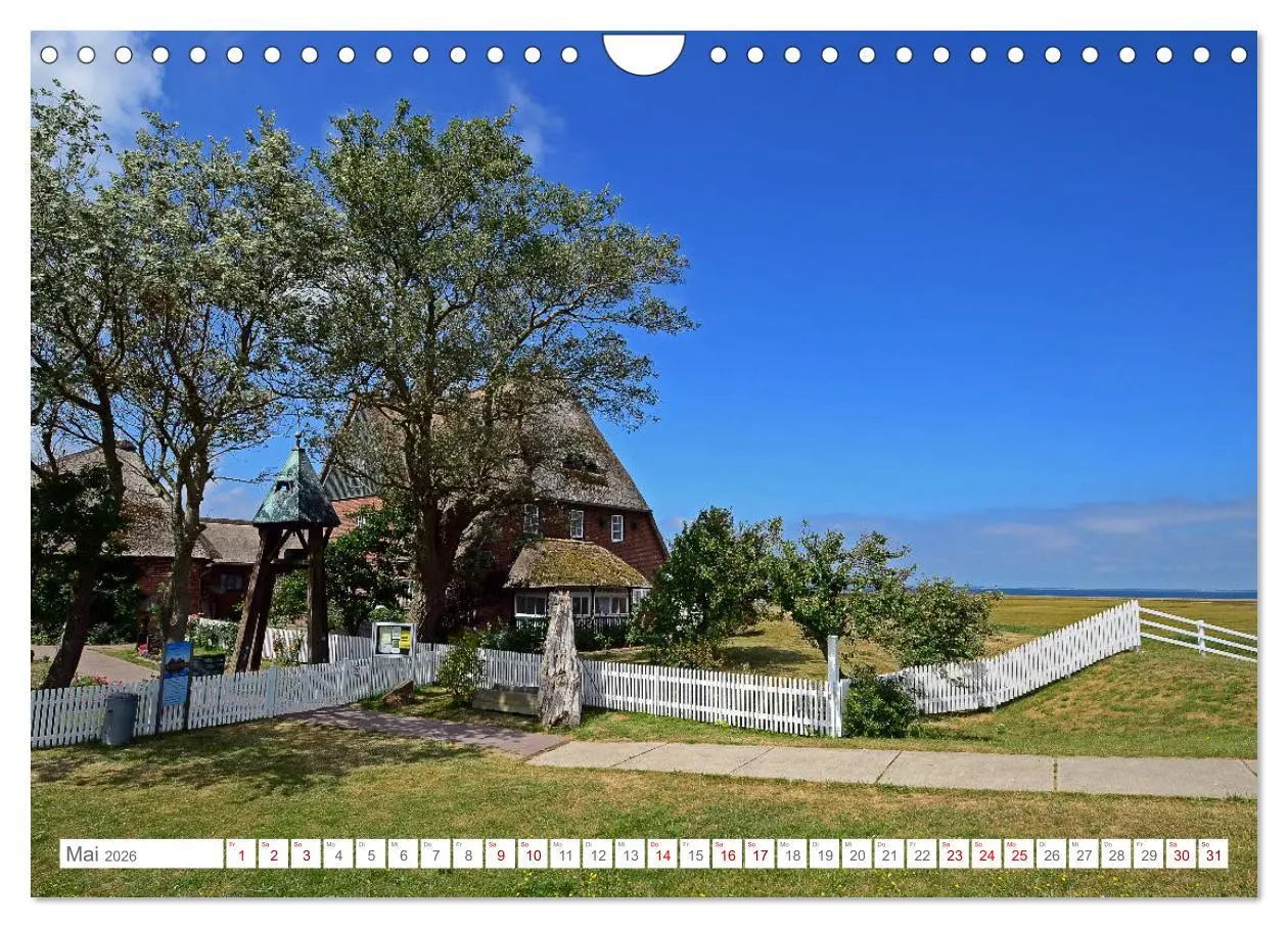 Bild: 9783457919354 | Sommertage auf Hallig Hooge (Wandkalender 2026 DIN A4 quer),...