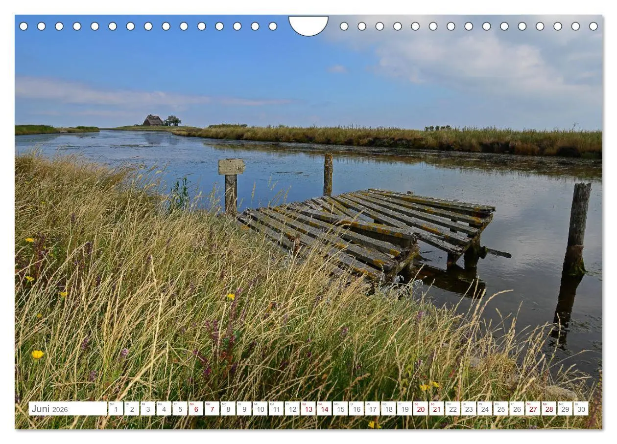 Bild: 9783457919354 | Sommertage auf Hallig Hooge (Wandkalender 2026 DIN A4 quer),...