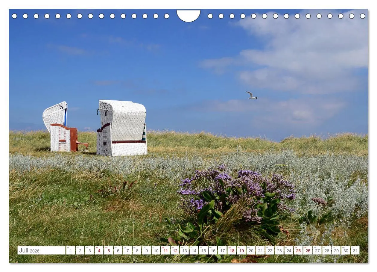 Bild: 9783457919354 | Sommertage auf Hallig Hooge (Wandkalender 2026 DIN A4 quer),...