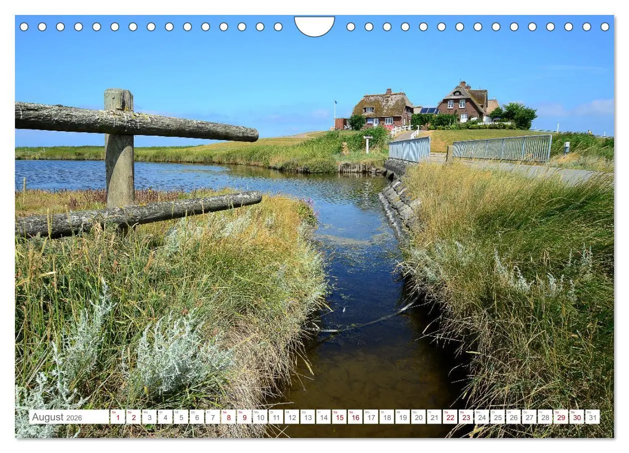 Bild: 9783457919354 | Sommertage auf Hallig Hooge (Wandkalender 2026 DIN A4 quer),...