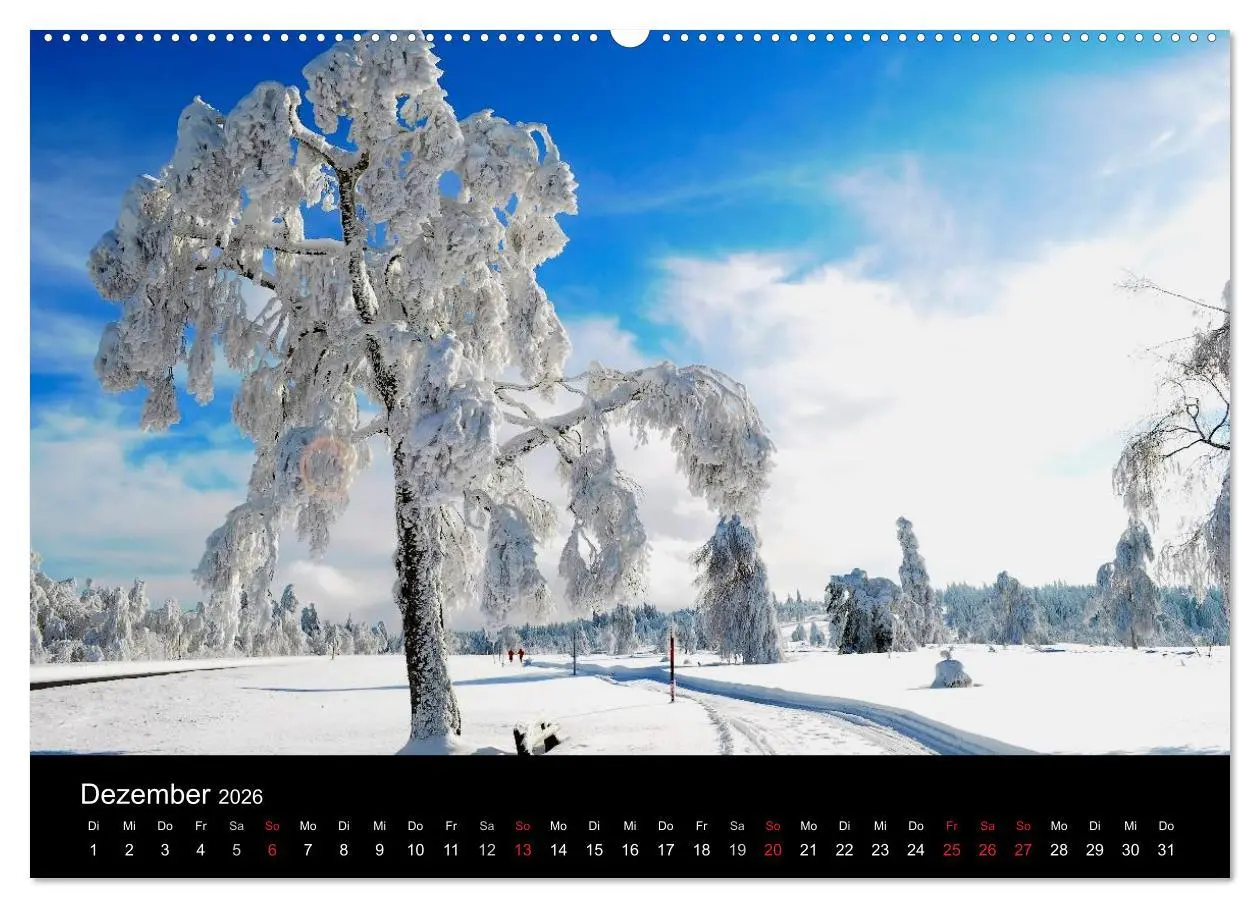Bild: 9783516179354 | Wege 2026 (Wandkalender 2026 DIN A2 quer), CALVENDO Monatskalender