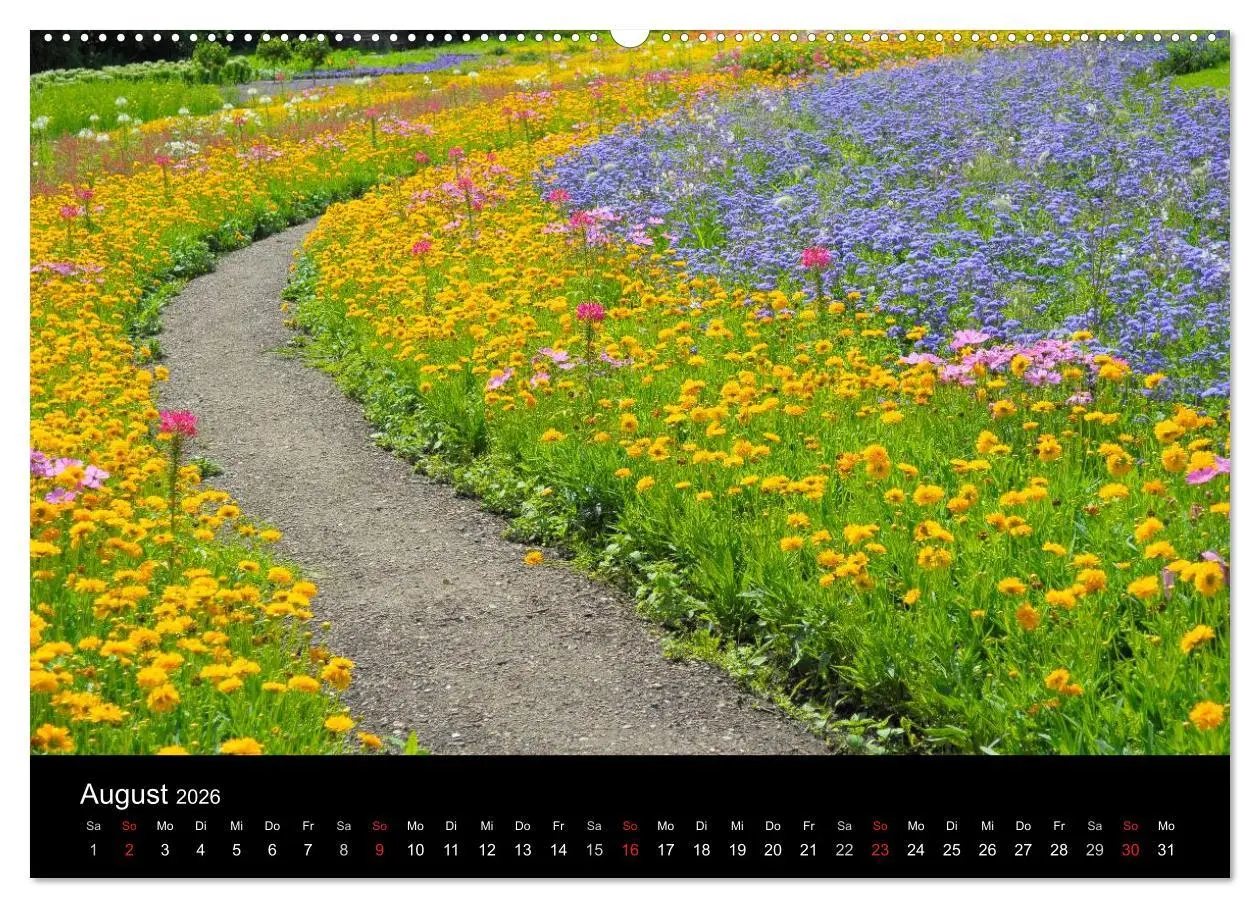 Bild: 9783516179354 | Wege 2026 (Wandkalender 2026 DIN A2 quer), CALVENDO Monatskalender