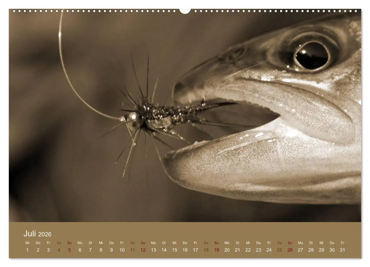 Bild: 9783516099454 | Fliegenfischen (hochwertiger Premium Wandkalender 2026 DIN A2...