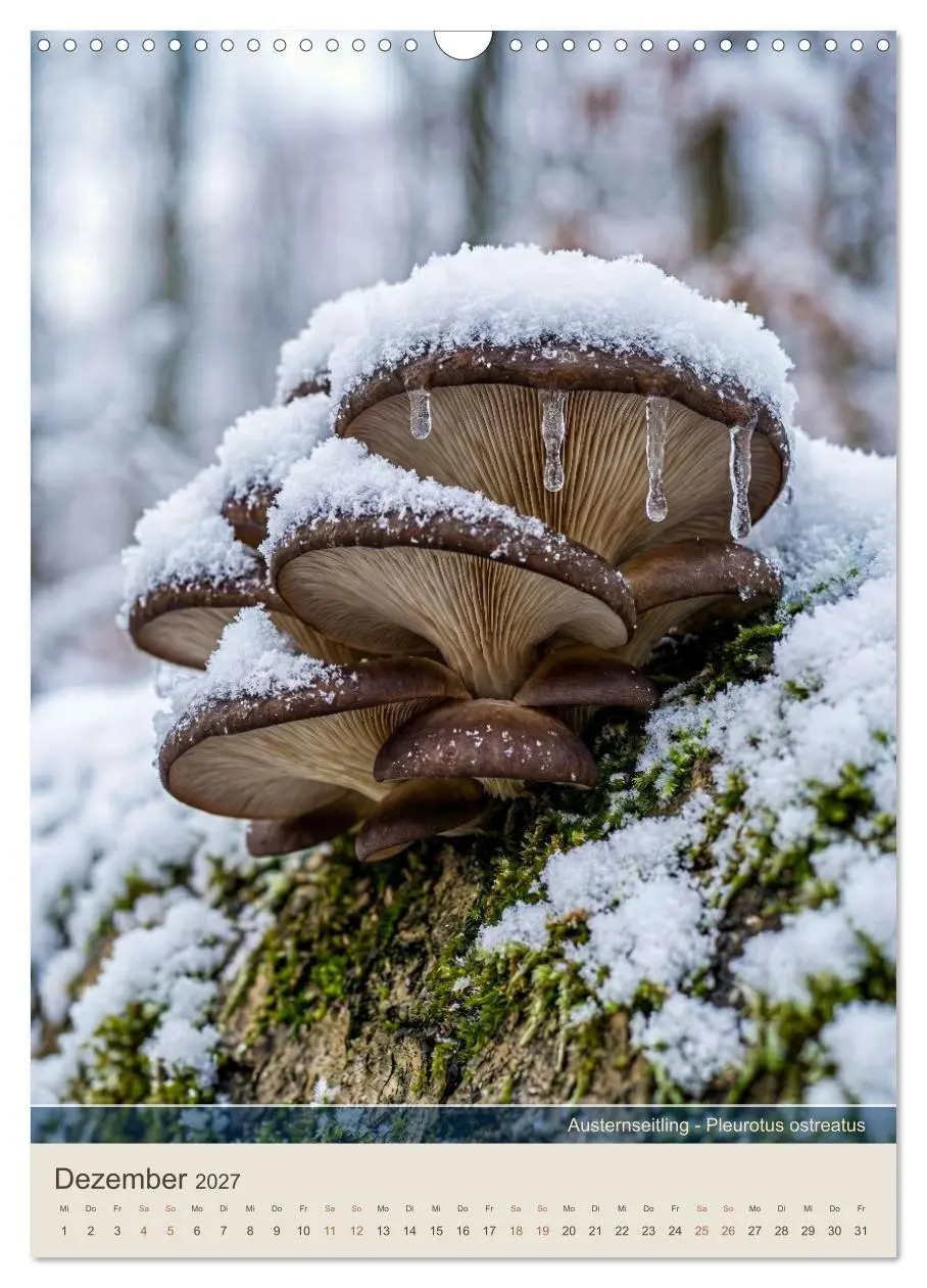 Bild: 9783516789454 | DER PILZKALENDER (Wandkalender 2027 DIN A3 hoch), CALVENDO...