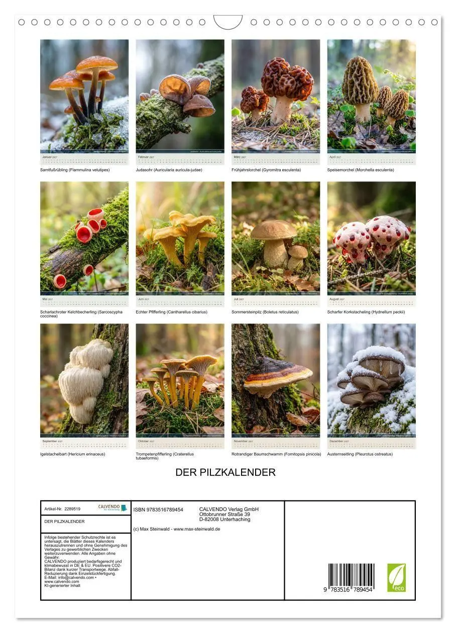Bild: 9783516789454 | DER PILZKALENDER (Wandkalender 2027 DIN A3 hoch), CALVENDO...