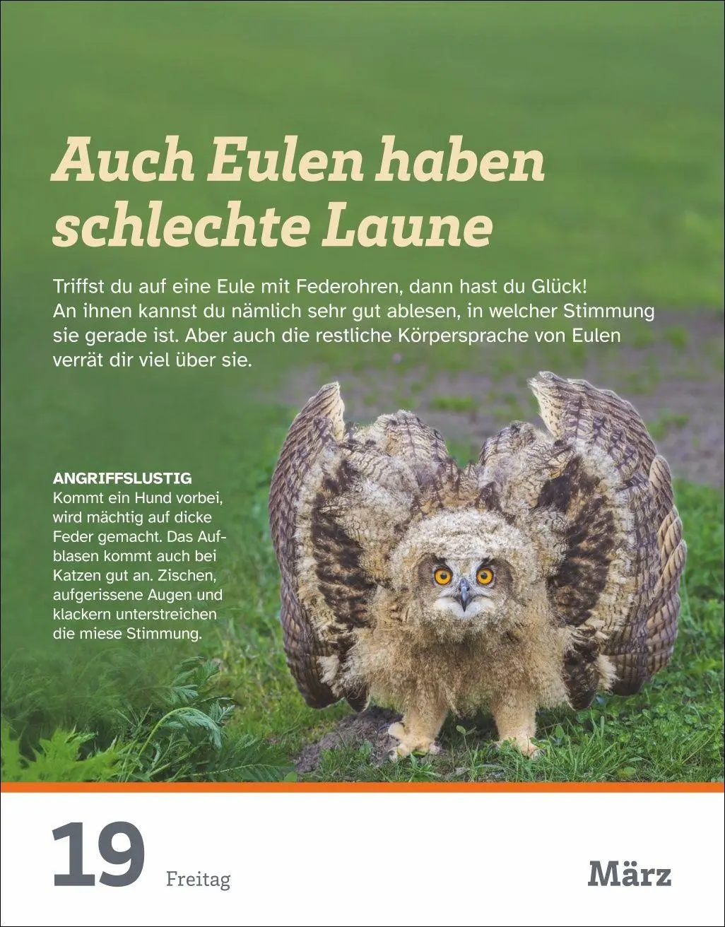 Bild: 9783840039454 | WAS IST WAS Der Kalender Tagesabreißkalender 2027 | Harenberg | 648 S.
