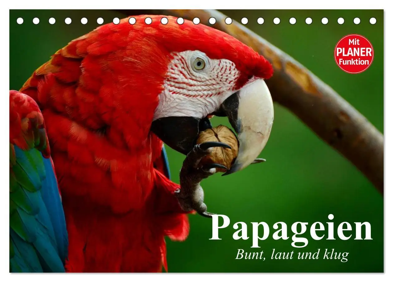 Cover: 9783457999554 | Papageien. Bunt, laut und klug (Tischkalender 2026 DIN A5 quer),...