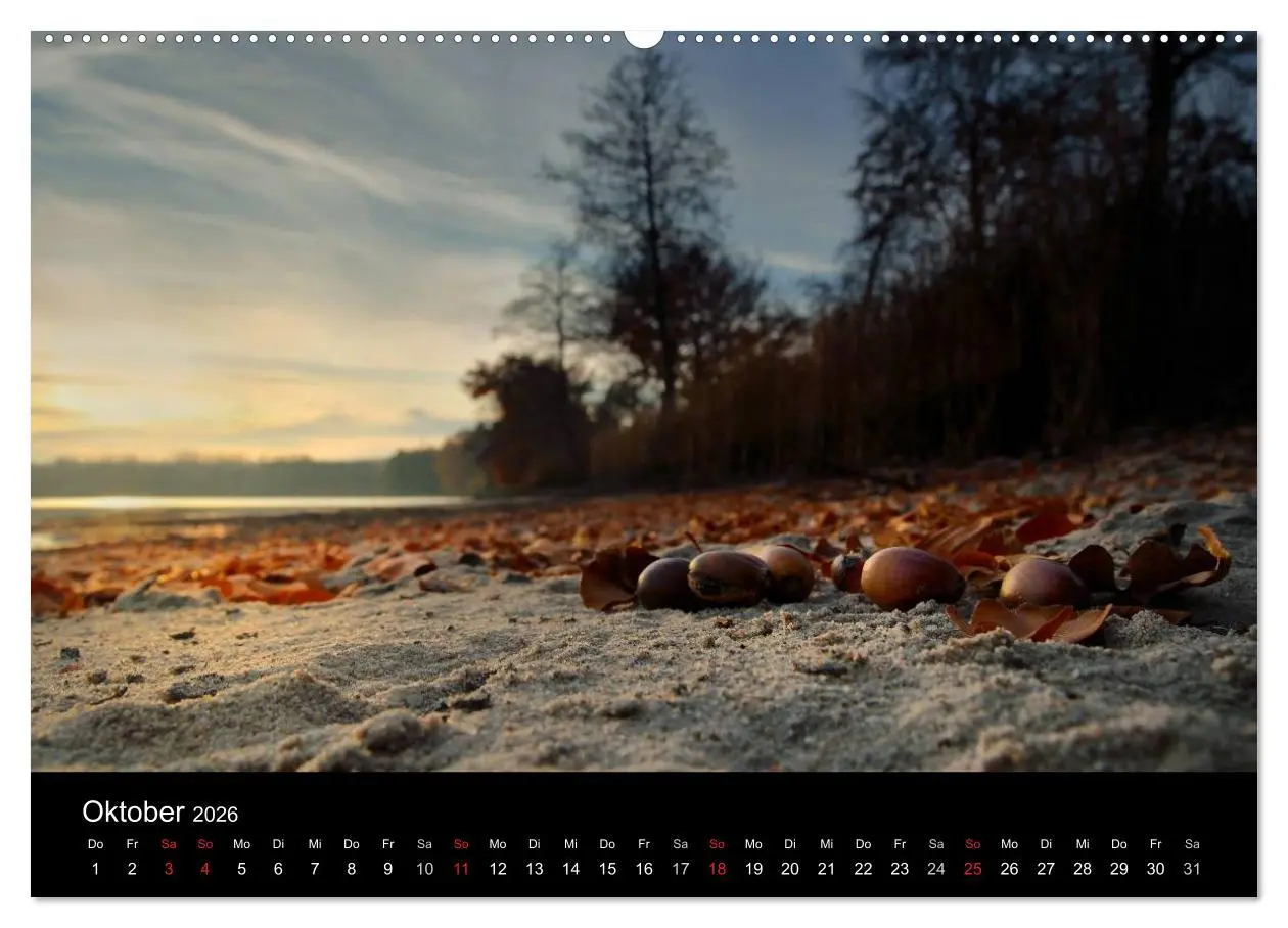 Bild: 9783516229554 | Märchenkulissen - Landschaften der Oberpfalz (Wandkalender 2026 DIN...
