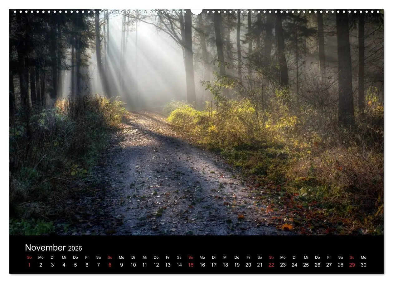 Bild: 9783516229554 | Märchenkulissen - Landschaften der Oberpfalz (Wandkalender 2026 DIN...